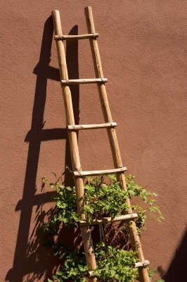 Santa Fe ladder.jpg