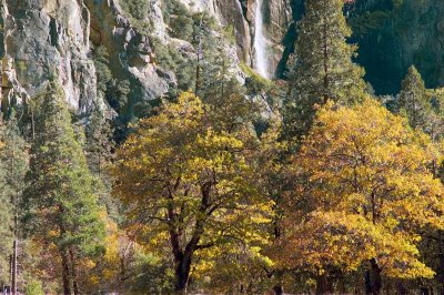 Yosemite 2.jpg