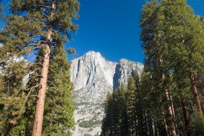 Yosemite 3.jpg