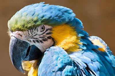 Santa Barbara zoo 2.jpg