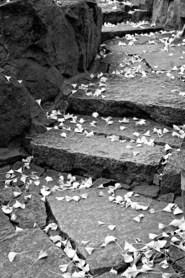 Suzhou steps.jpg
