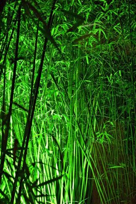 Suzhou.jpg