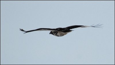 g6/20/769520/3/78345901.FPDIny1w.jpg