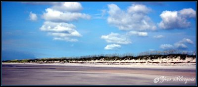 Floride