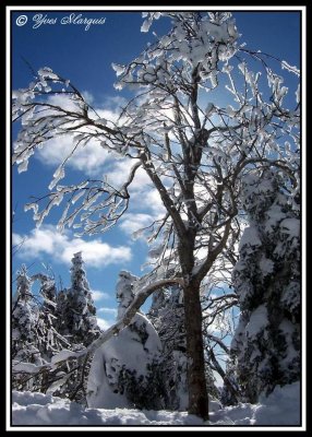 Montagne noire de St-Donat