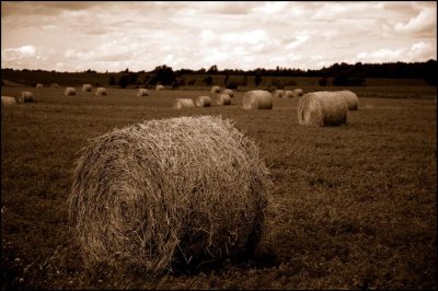 AUTOMNE