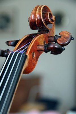 The head of my violin