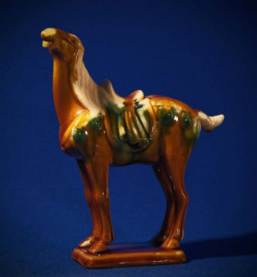 Tri-glazed Pottery Horse