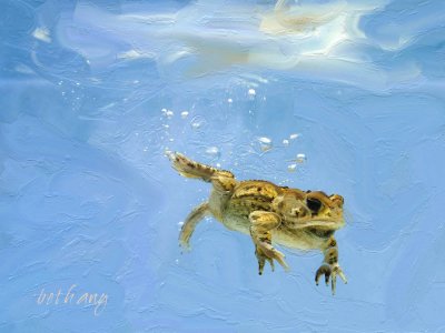 frog done with palette knife