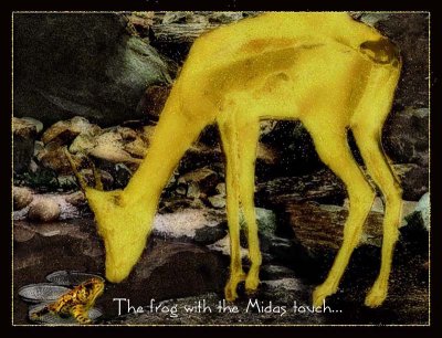 the frog king