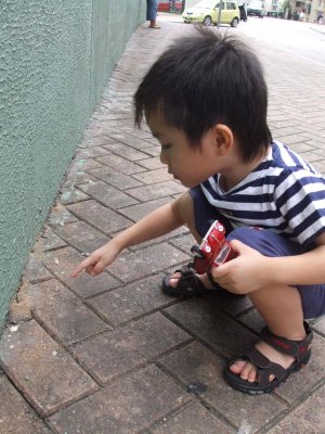 finding ants' home...(>o<)