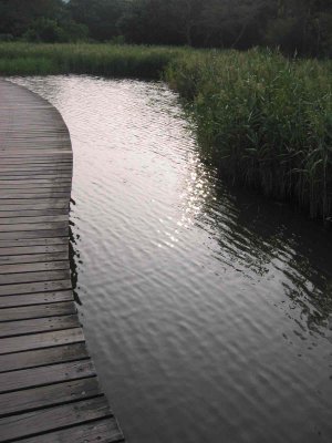 HKWetLandPark_4.jpg