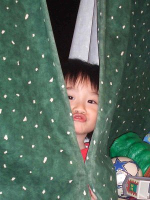 28_12_06o.jpg