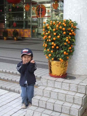 8_2_07a.jpg