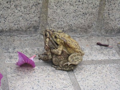10_2_07_06.jpg