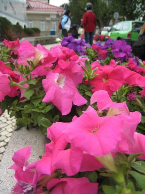 19_3_07_18.jpg