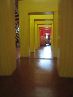 24_5_07d.jpg