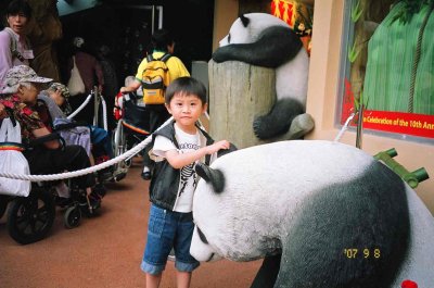 080907_d.jpg