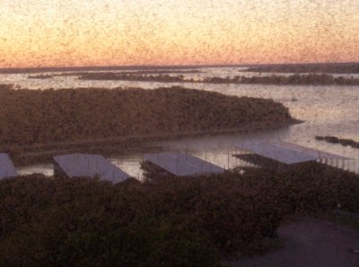 100_5988.JPG