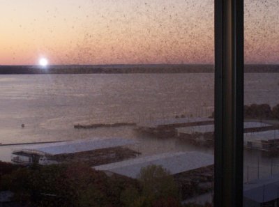 100_5989.JPG
