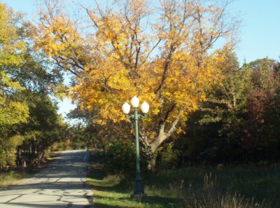 100_6005.JPG