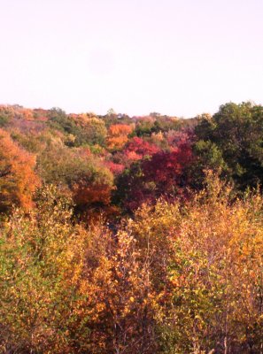 100_6039.JPG