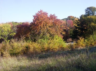 100_6041.JPG
