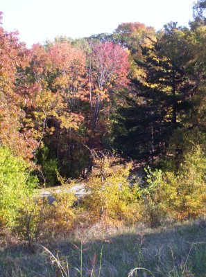 100_6042.JPG