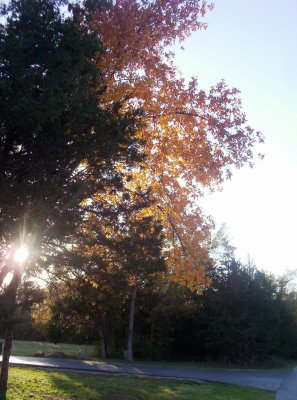 100_6062.JPG