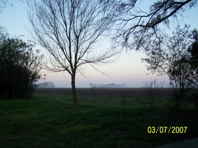 A few years later than the previous photo but looking out towards the same general direction at a beautiful, softly-foggy early morning.  This photo shows my fruit orchard, which are all the smaller trees.  I add at least one new fruit tree each year to this area of our property.