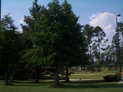 g6/21/122021/3/83251028.2gCVjZZU.jpg