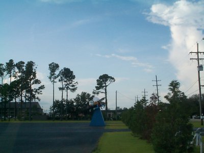 g6/21/122021/3/83251067.pL5TwHvL.jpg