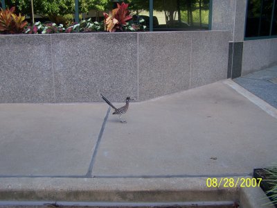 g6/21/122021/3/90311182.chnEklqy.jpg