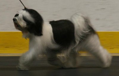 TTCC Specialty 2007 - Sweepstakes