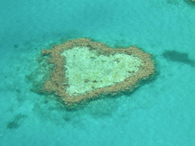 Heart Reef