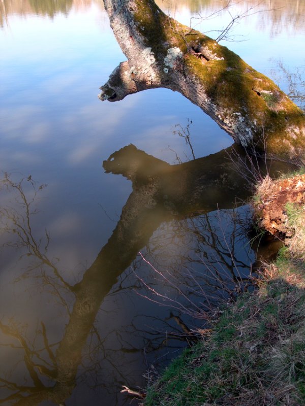 Les Portes reflects again