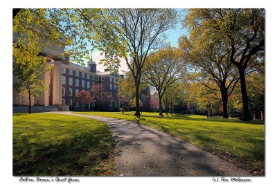 _IMG-0715Quiet-Green-Fall.jpg