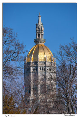 Capital-Dome