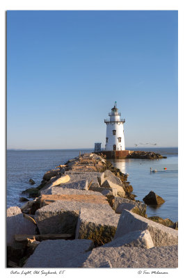 Saybrook-Outer-LightV 12x18.jpg