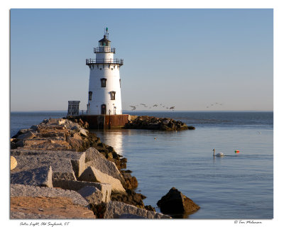 SaybrookOuterLightH-8x10.jpg