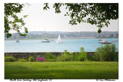 N-Cove-Sailing.jpg