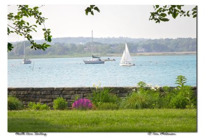 N-Cove-Sailing-.jpg