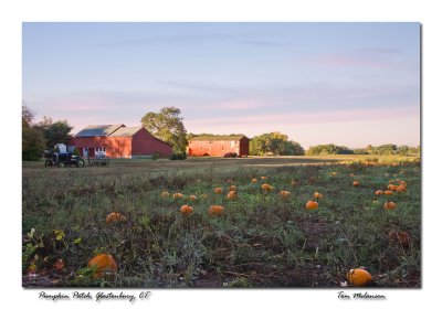 Pumkin-Patch.jpg
