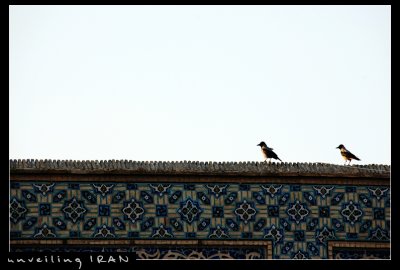 Birds on Wall, Friday Mosque