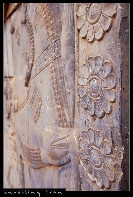 Flower Carvings, Persepolis