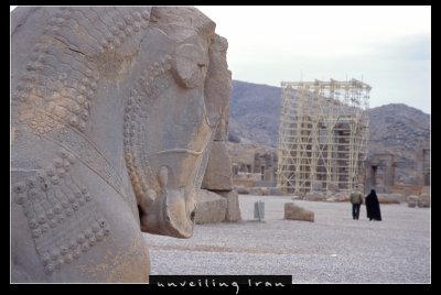 Bull Figure, Persepolis
