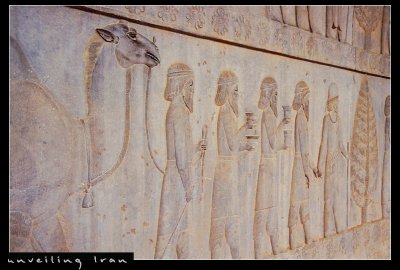Bas-relief Wall, Persepolis