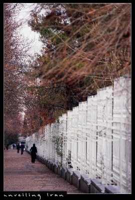 Street in Winter