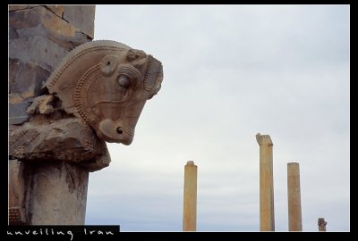 Bull Figure, Persepolis