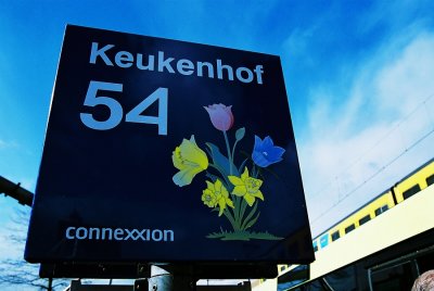 Connexxion to Keukenhof